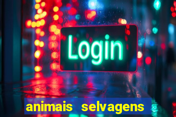 animais selvagens fotos e nomes